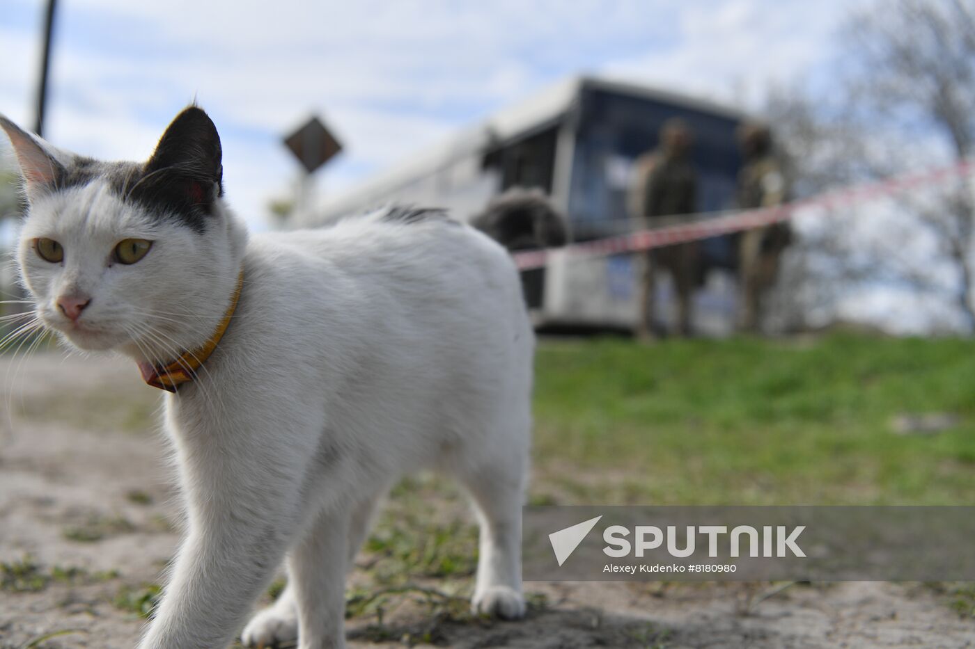 DPR LPR Russia Ukraine Military Operation