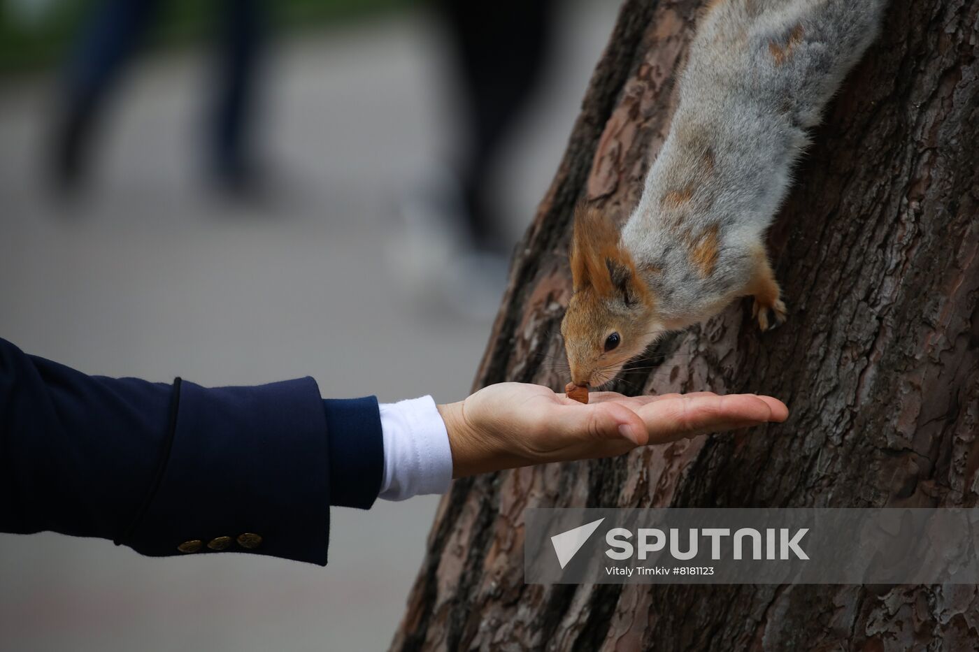 Russia Daily Life