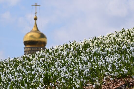 Russia Daily Life