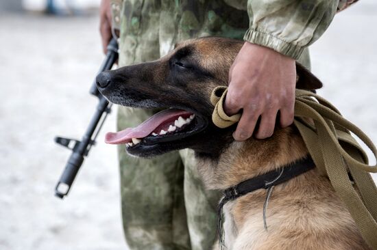 Ukraine Russia Military Operation Beach Patrol