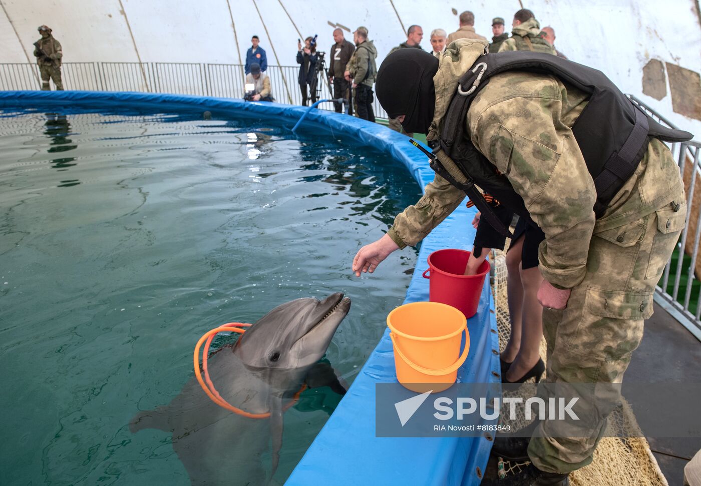 Ukraine Russia Military Operation Dolphinarium