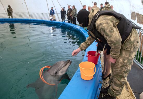 Ukraine Russia Military Operation Dolphinarium