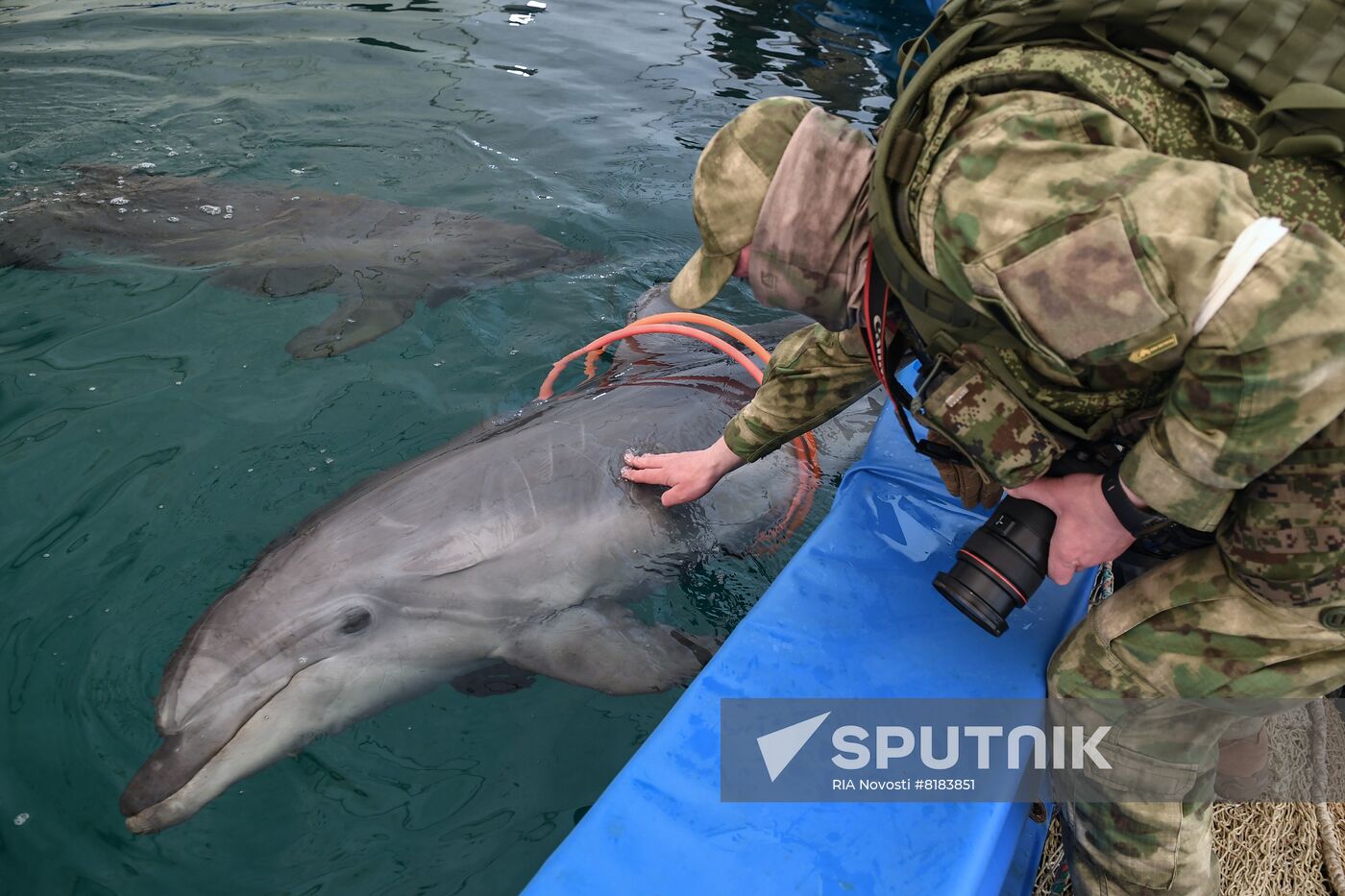 Ukraine Russia Military Operation Dolphinarium