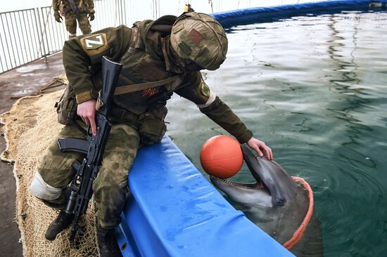 Ukraine Russia Military Operation Dolphinarium