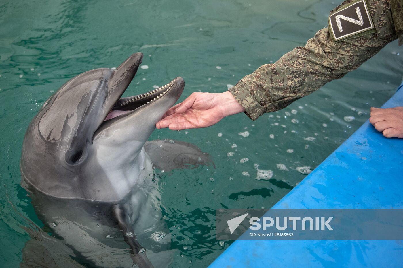 Ukraine Russia Military Operation Dolphinarium