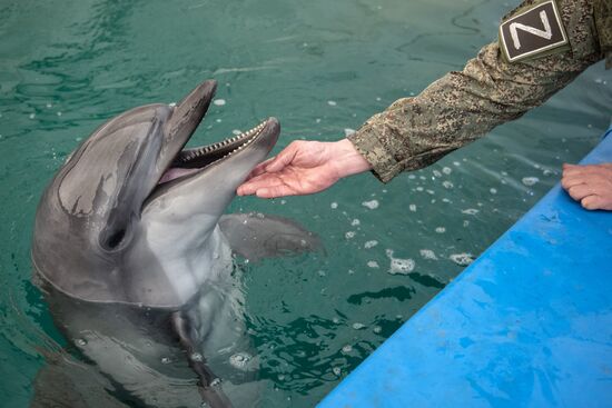 Ukraine Russia Military Operation Dolphinarium