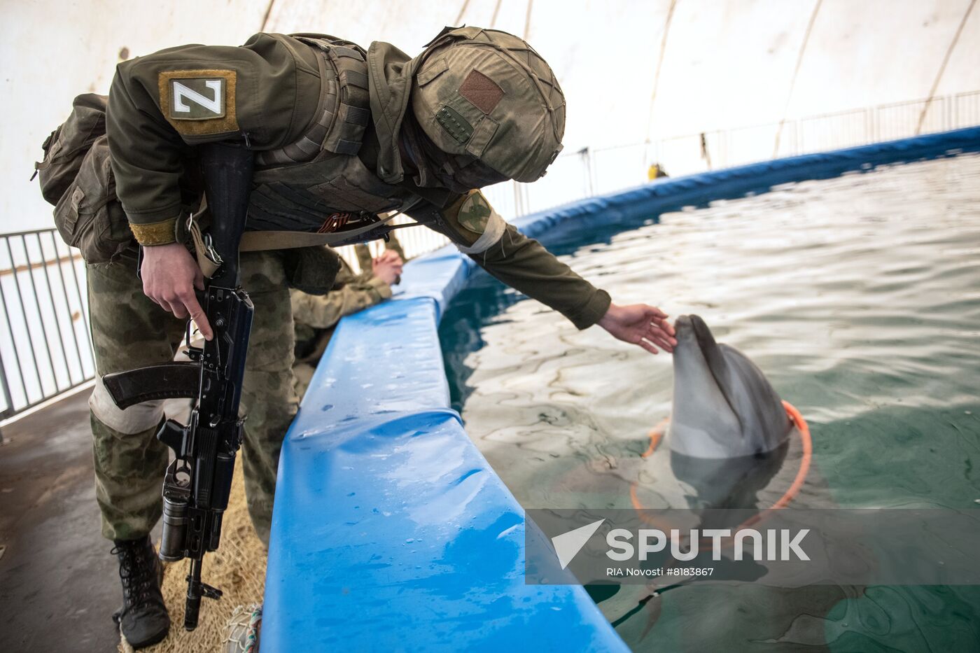 Ukraine Russia Military Operation Dolphinarium