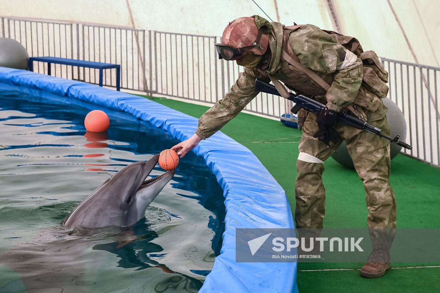 Ukraine Russia Military Operation Dolphinarium