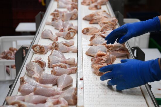 Russia Agriculture Poultry
