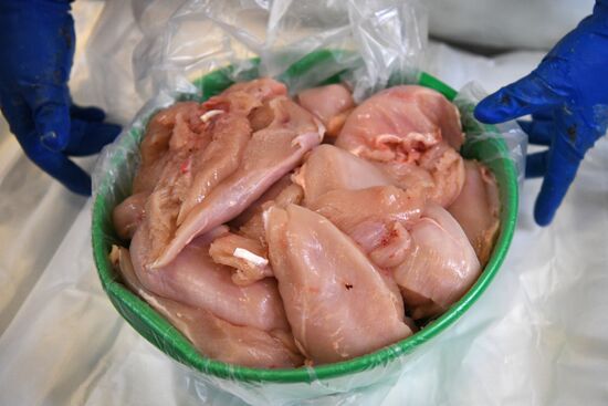Russia Agriculture Poultry