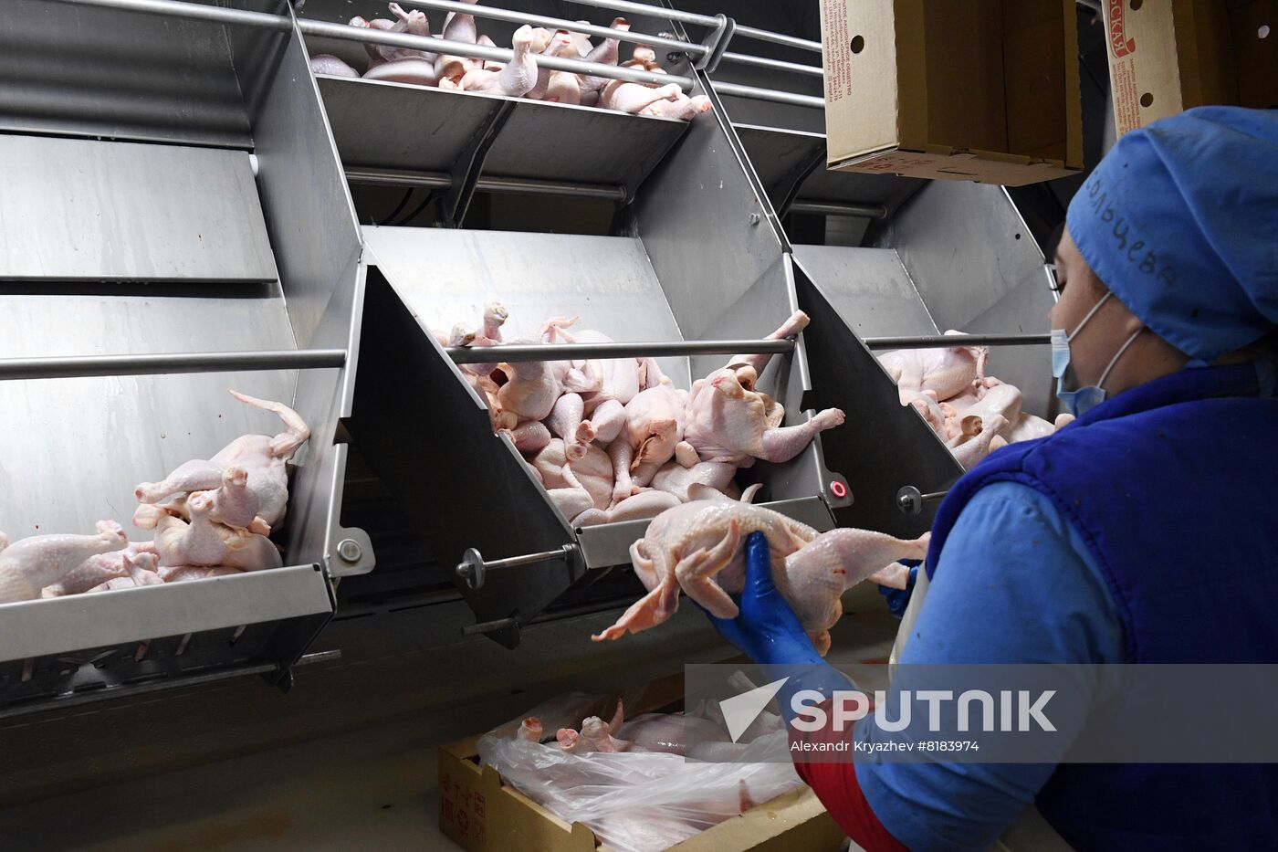 Russia Agriculture Poultry