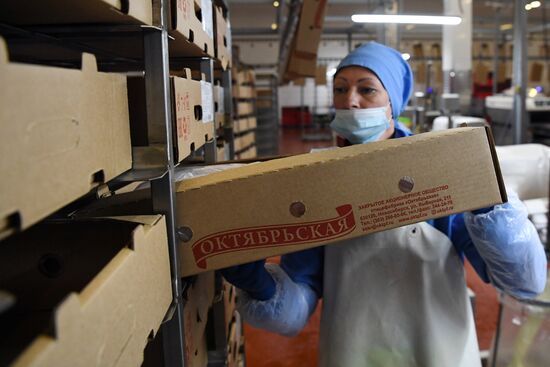 Russia Agriculture Poultry