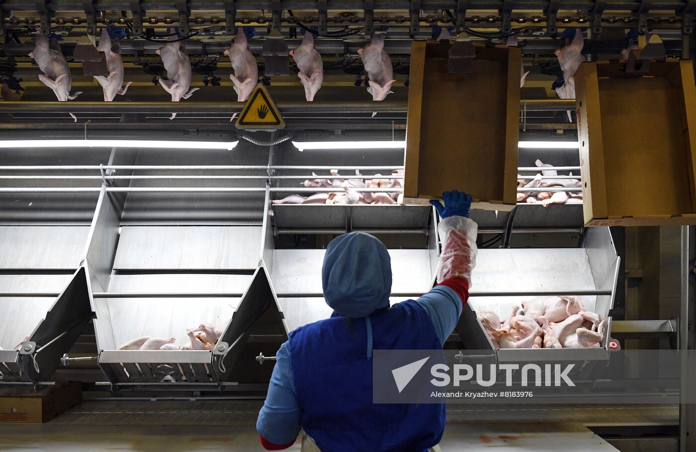 Russia Agriculture Poultry