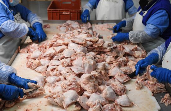 Russia Agriculture Poultry