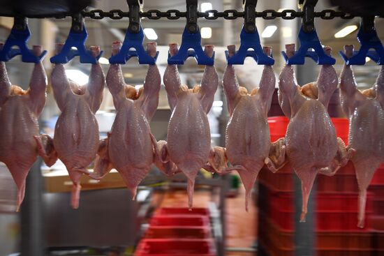 Russia Agriculture Poultry