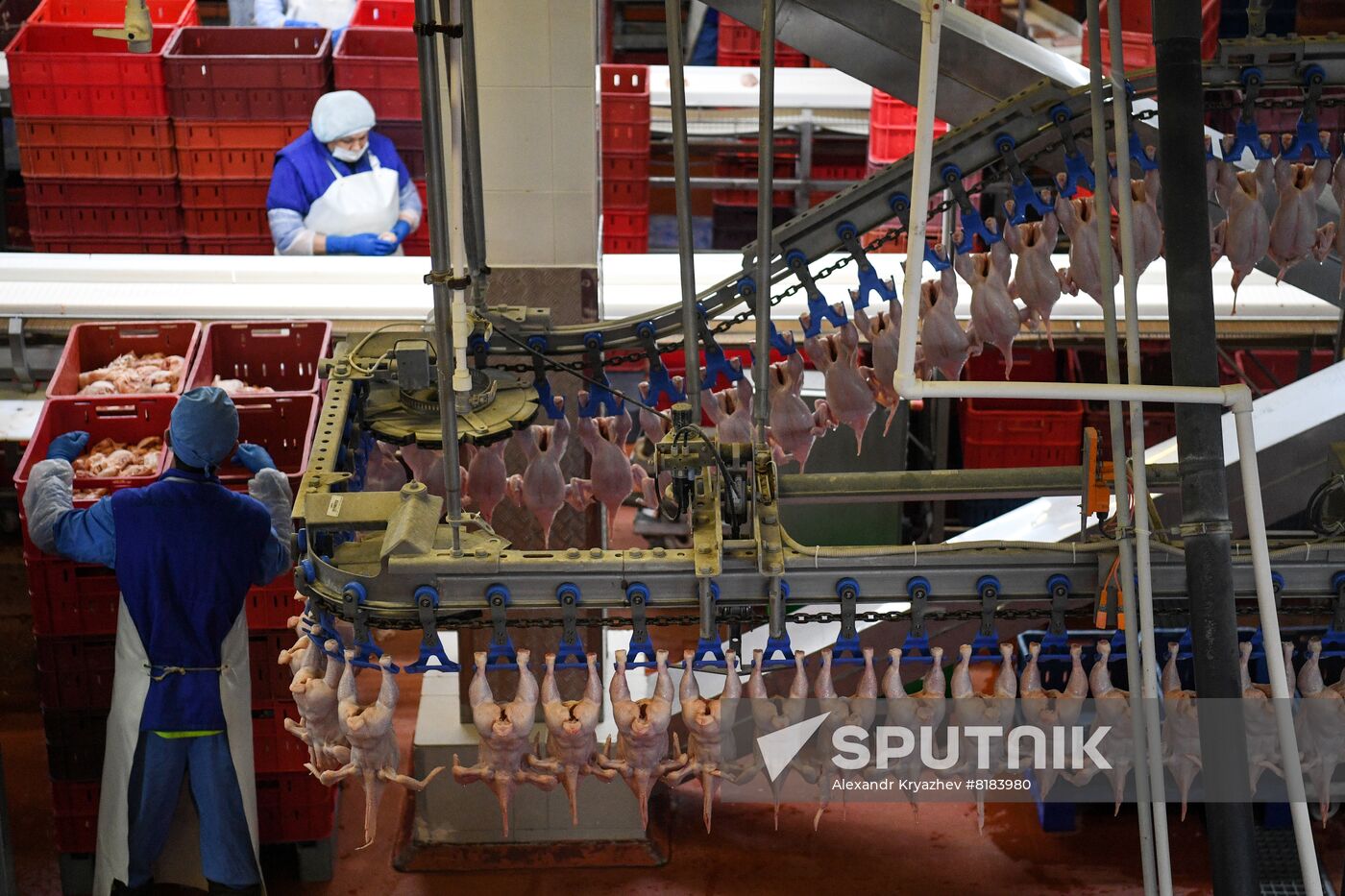 Russia Agriculture Poultry