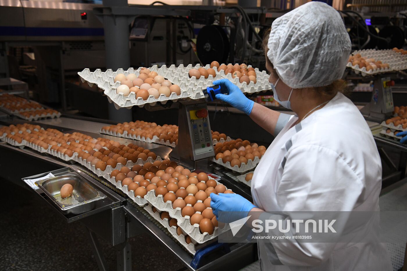 Russia Agriculture Poultry