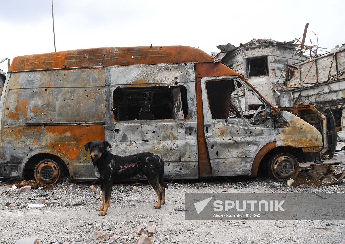 DPR LPR Russia Ukraine Military Operation