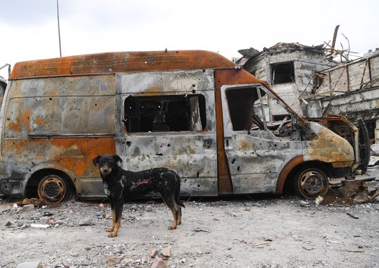 DPR LPR Russia Ukraine Military Operation