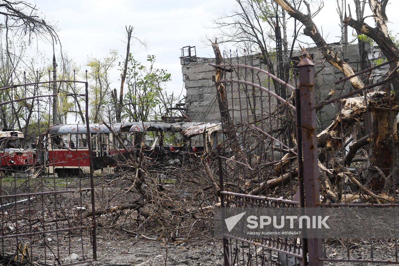 DPR LPR Russia Ukraine Military Operation