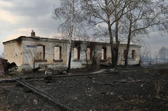 Russia Siberia Fires