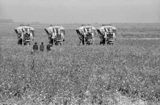 Teze Yel collective farm in Turkmenia