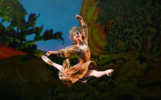 Russia Ballet Humpbacked Horse
