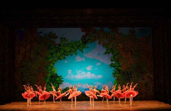 Russia Ballet Humpbacked Horse