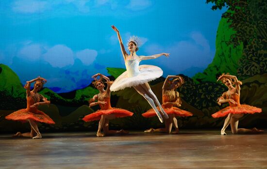 Russia Ballet Humpbacked Horse