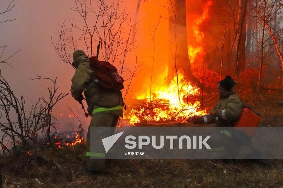 Russia Wildfires