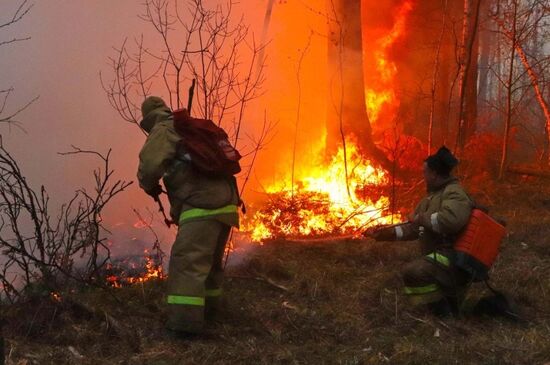 Russia Wildfires