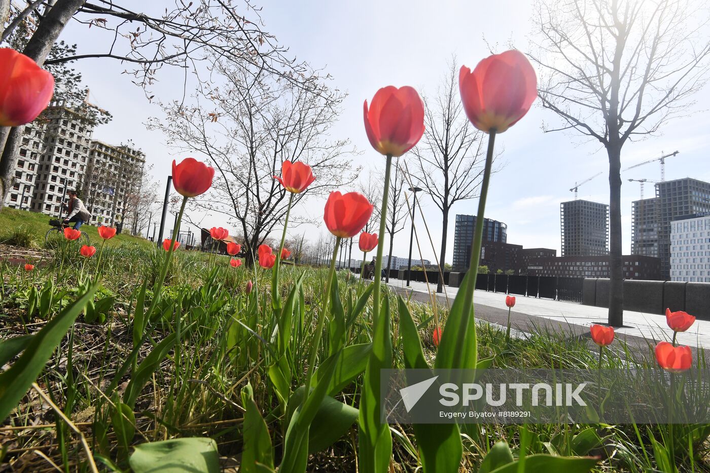 Improving Marc Chagall Embankment