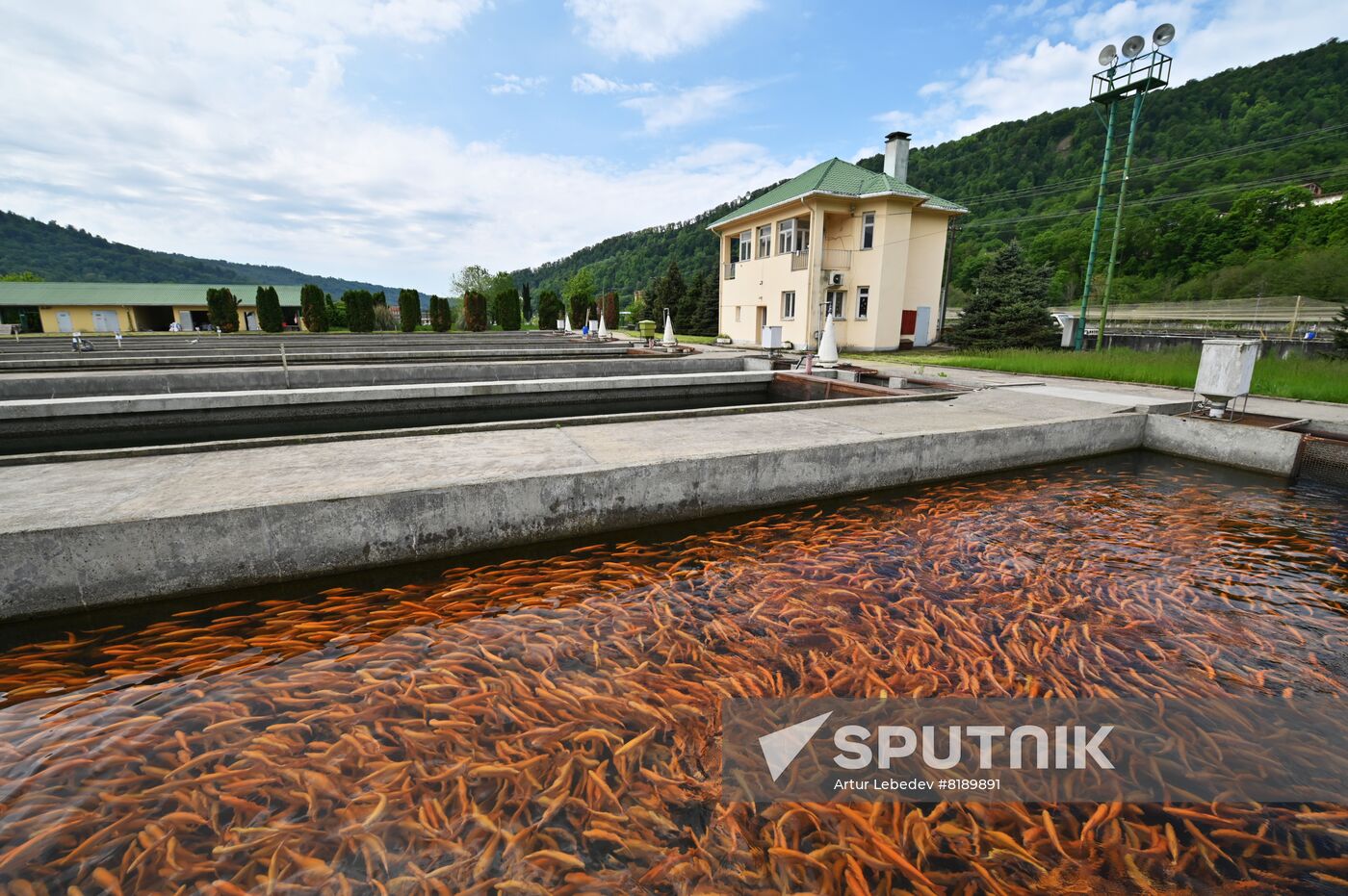 Russia Fish Farm