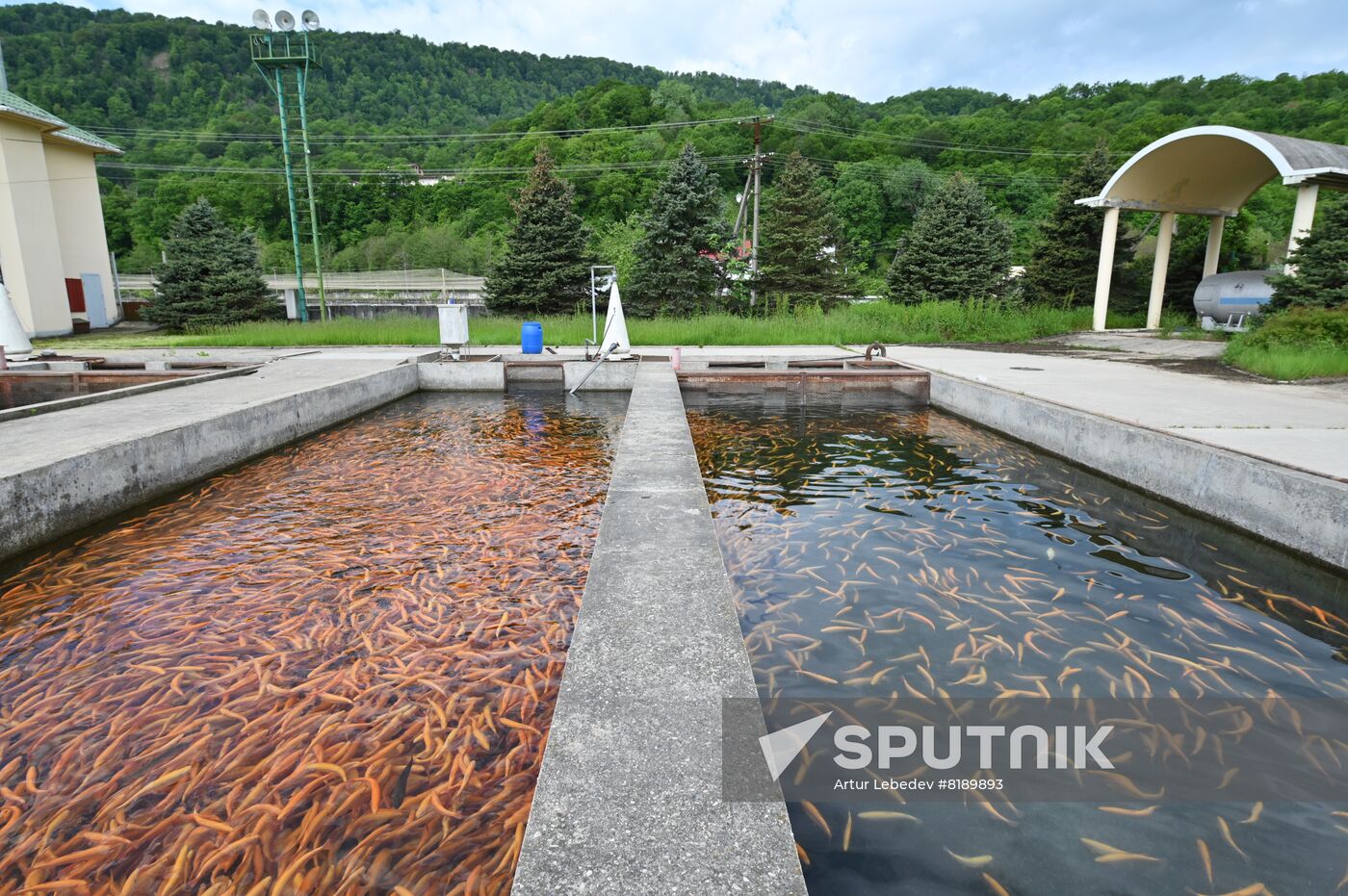 Russia Fish Farm