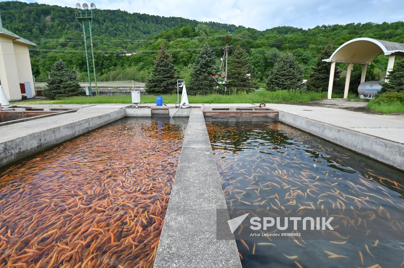 Russia Fish Farm