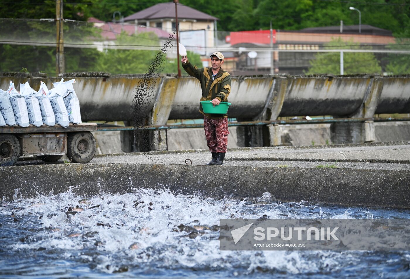 Russia Fish Farm