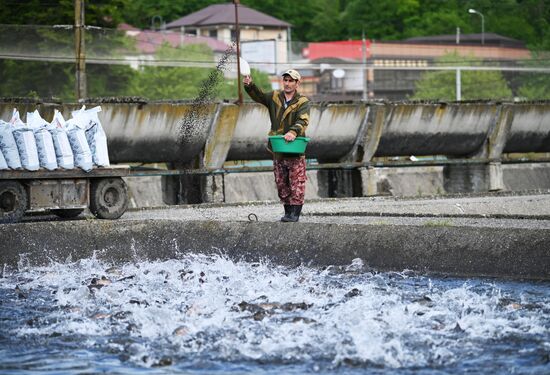 Russia Fish Farm