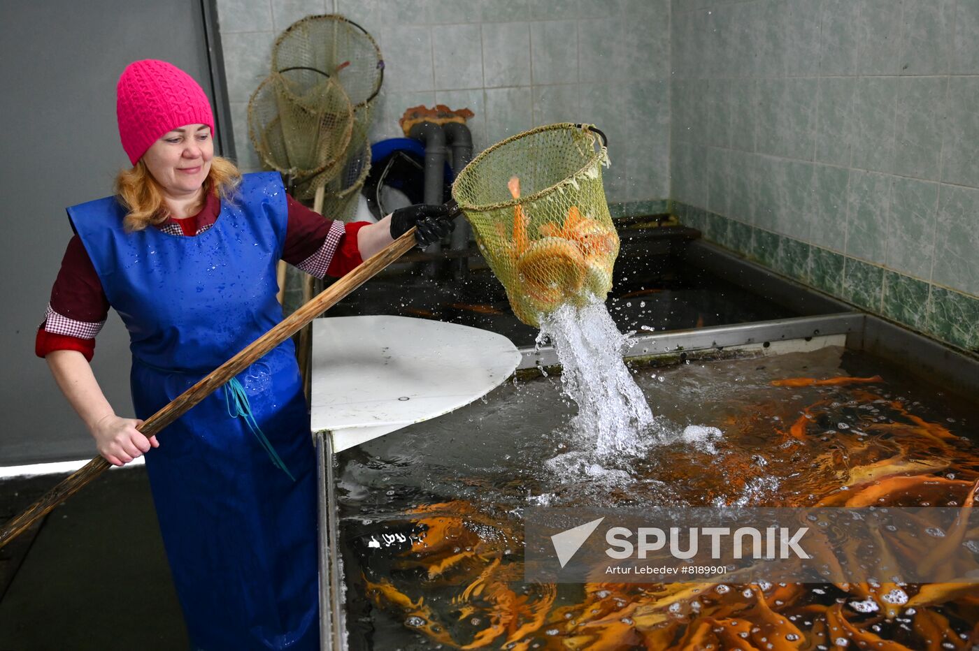 Russia Fish Farm