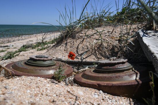 Ukraine Russia Military Operation Demining