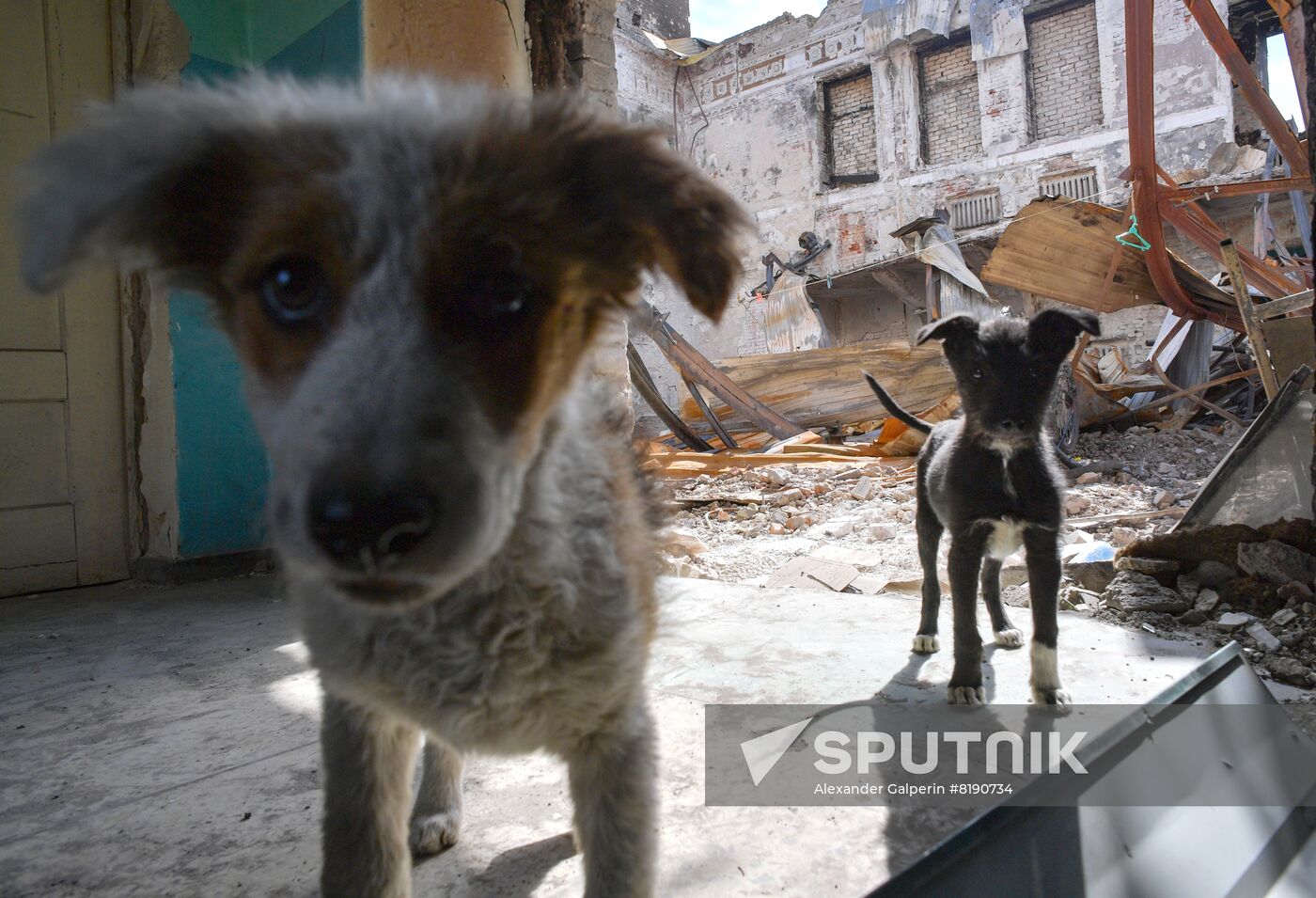 LPR Russia Ukraine Military Operation