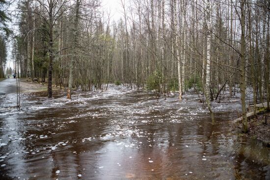 Russia Flood