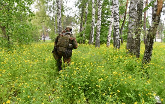 Ukraine LPR Russia Military Operation