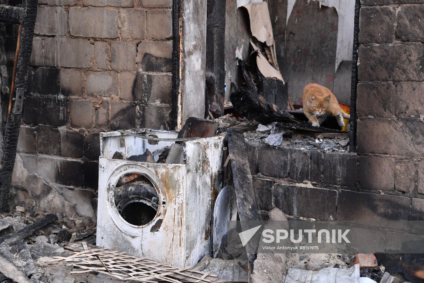 Ukraine LPR Russia Military Operation