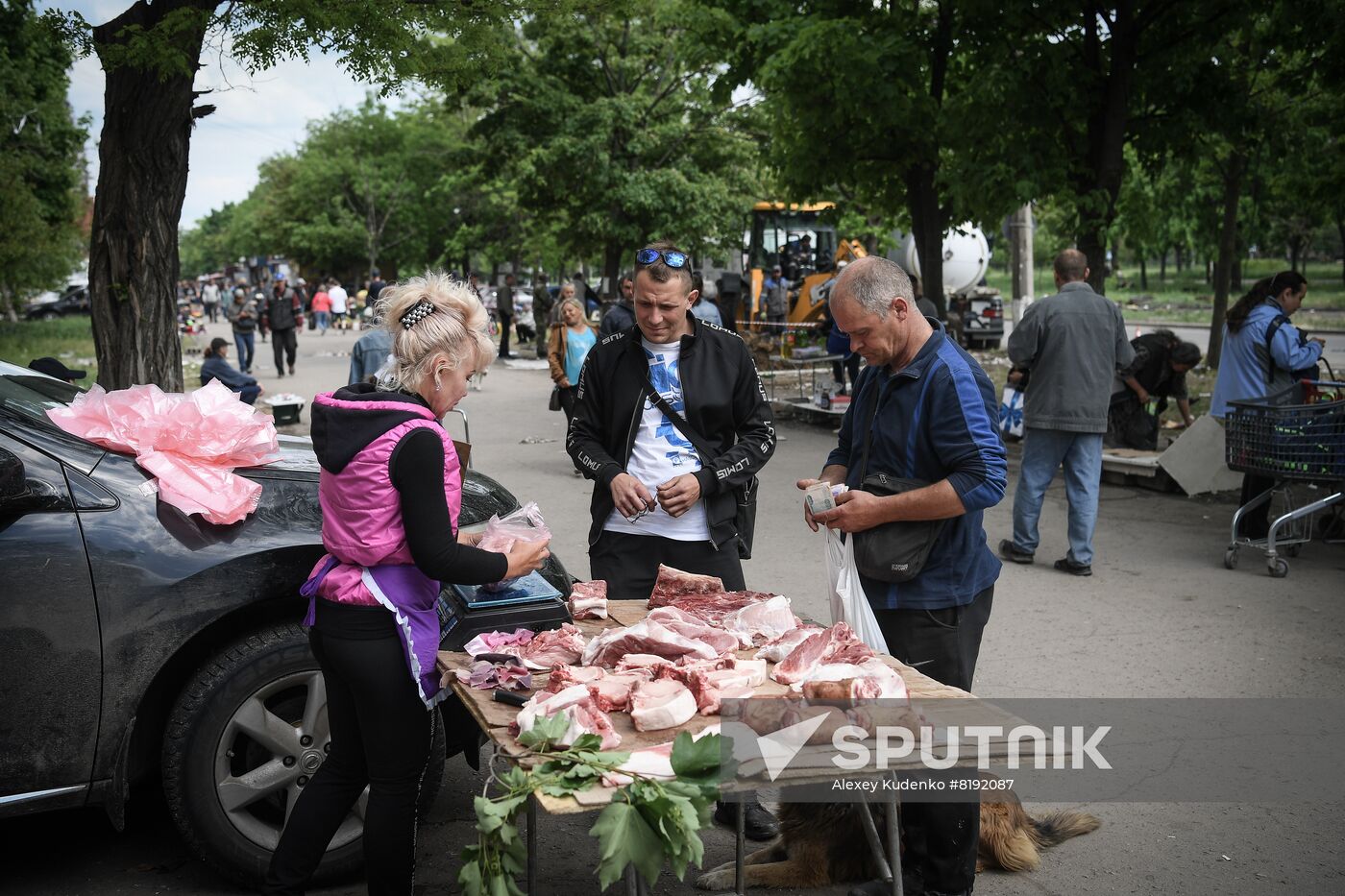 DPR Russia Ukraine Military Operation