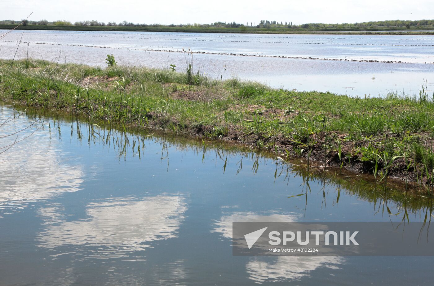 Russia Agruculture Sowing