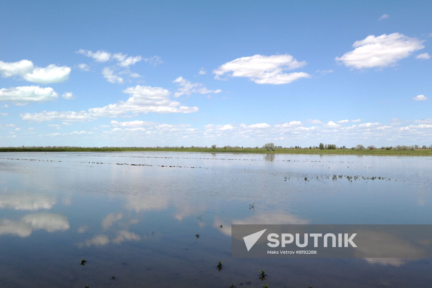 Russia Agruculture Sowing