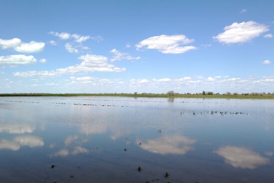Russia Agruculture Sowing