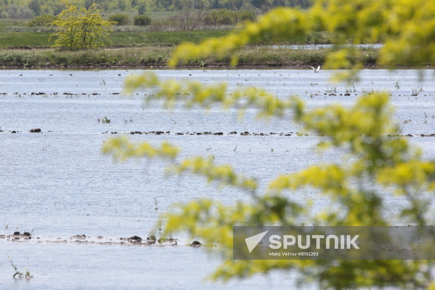 Russia Agruculture Sowing