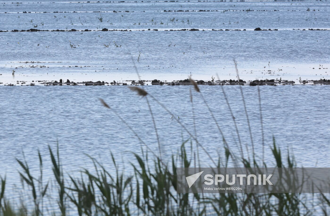 Russia Agruculture Sowing