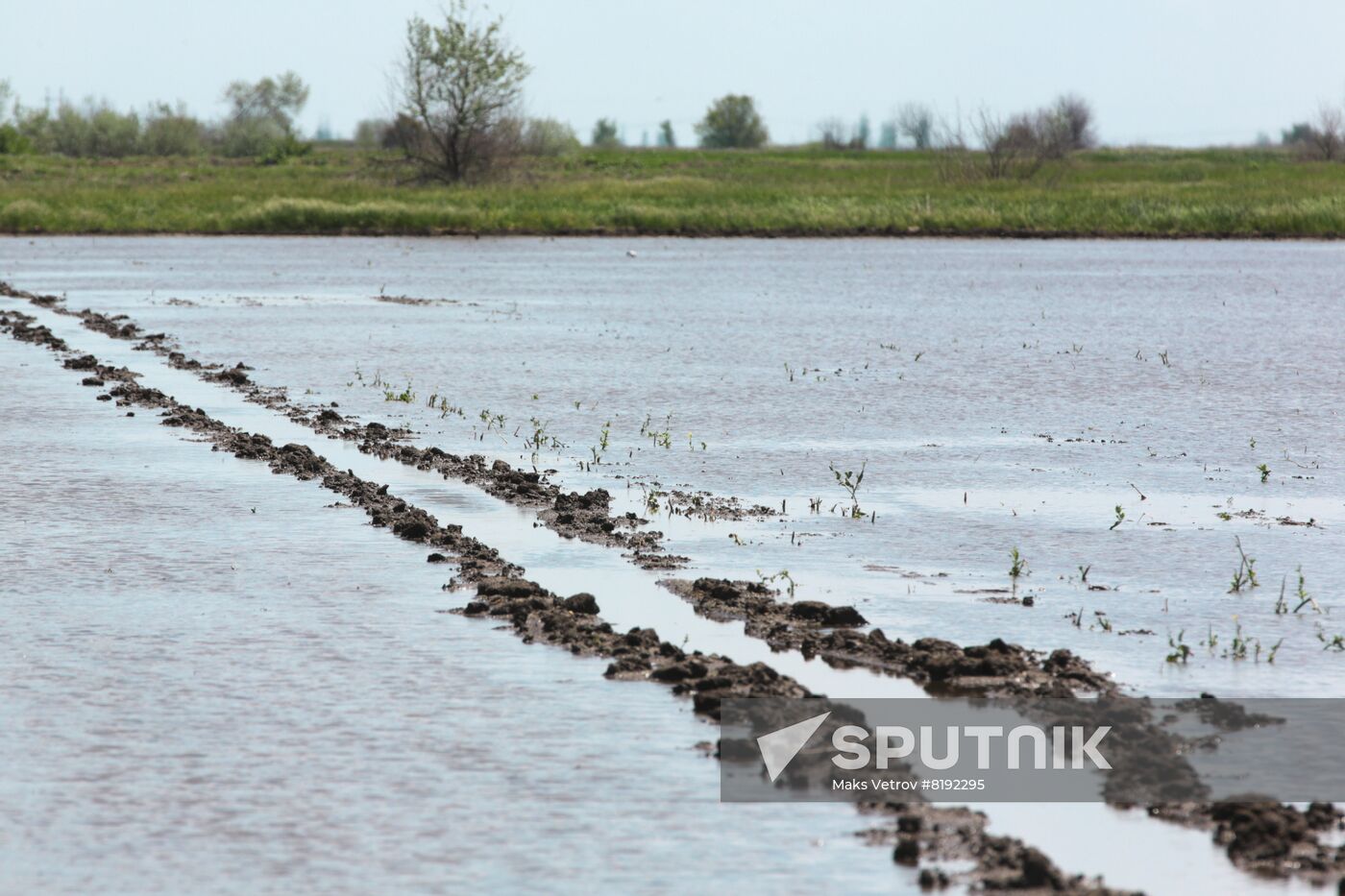 Russia Agruculture Sowing